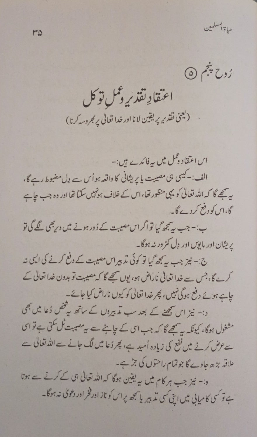 2 Copies of HAYAT-UL-UL-MUSLIMEEN(Urdu) by M. Ashraf A. Thandvi #MMQHUM