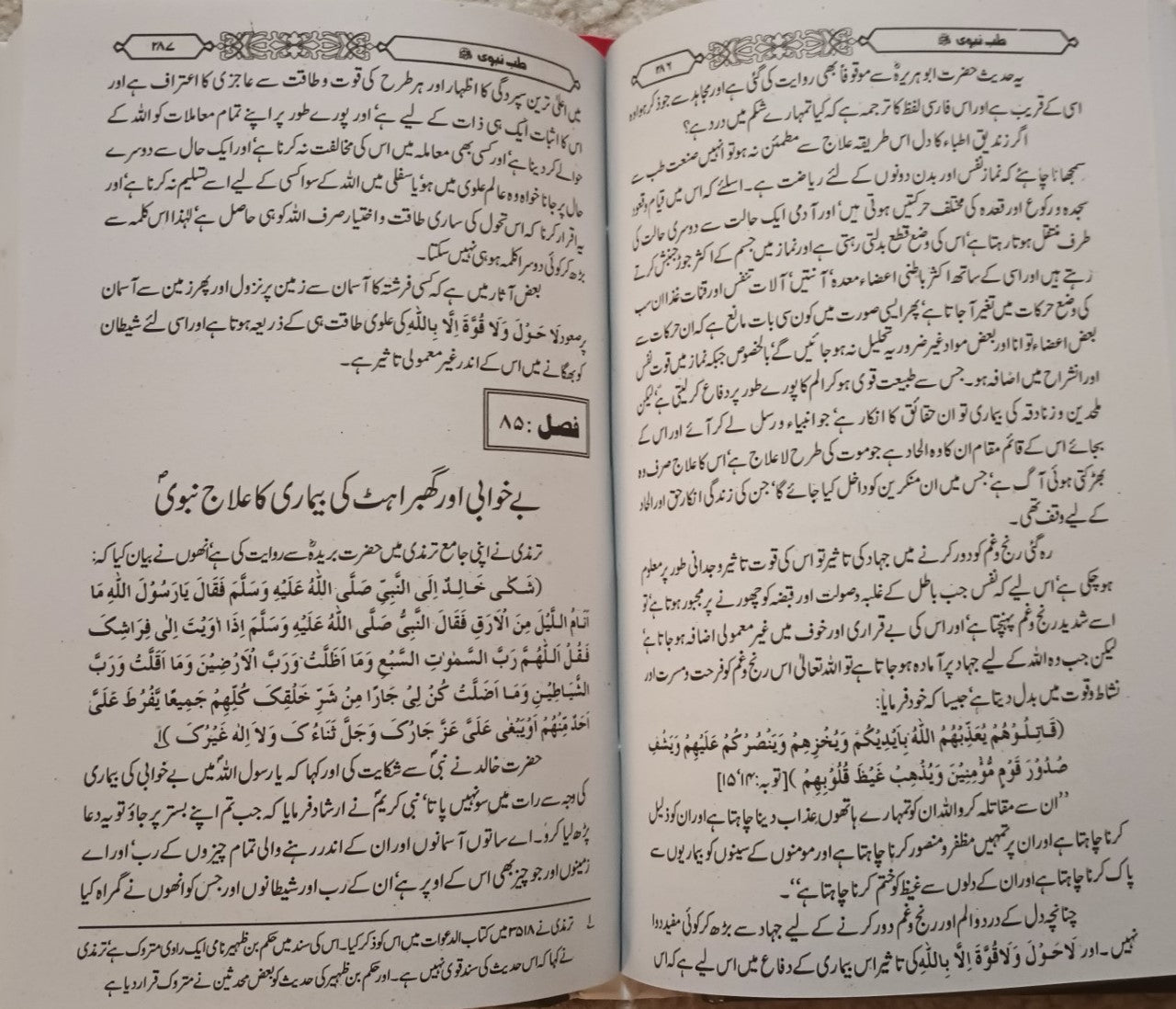 TIBB-E-NABAVI (Urdu) by Imam Shamsuddin Ibn Qayyim #MRTN