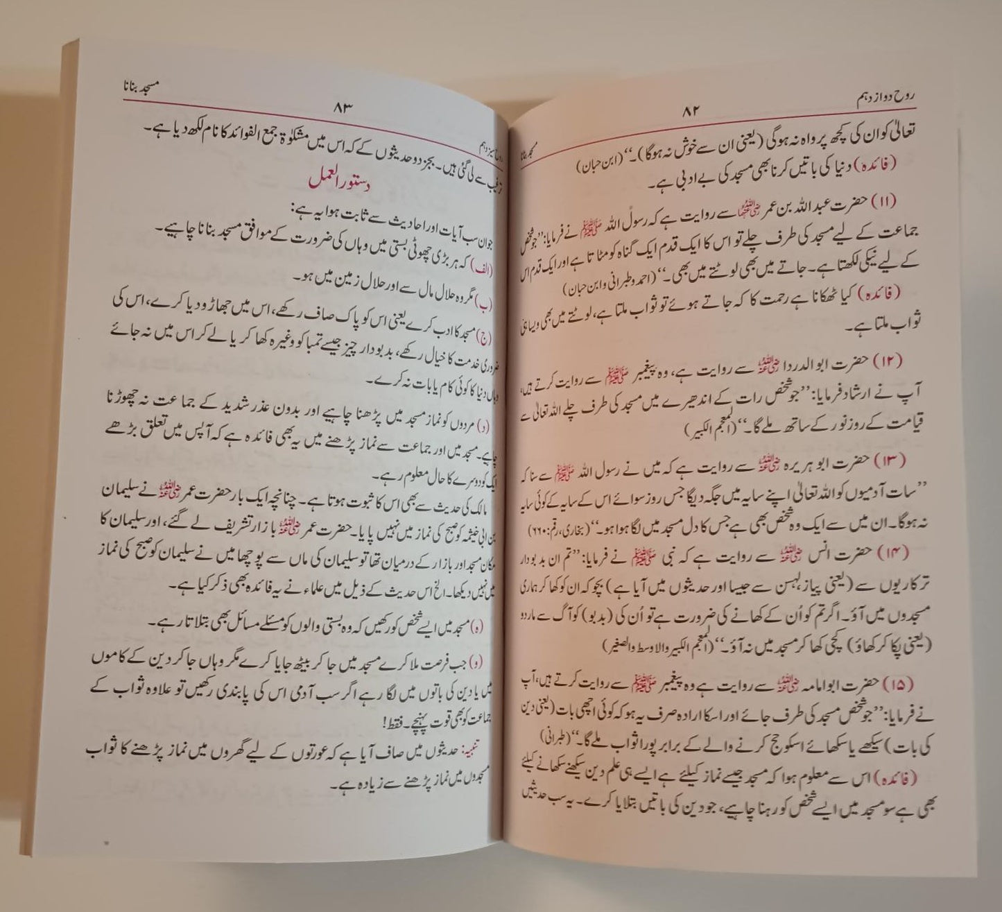 HAYAT-UL-UL-MUSLIMEEN(Urdu) by M. Ashraf A. Thandvi #HUMMR