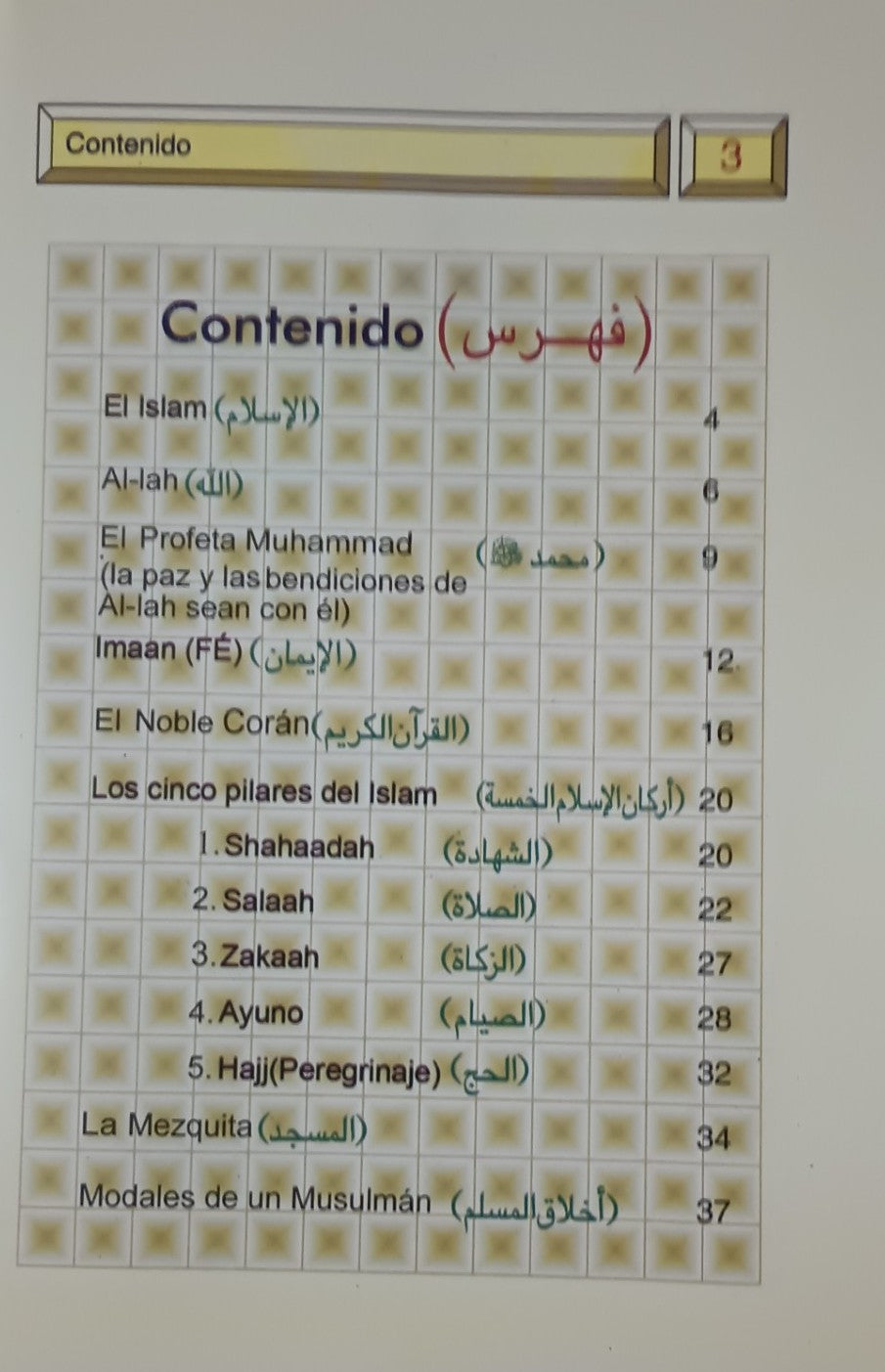 3 Copies of Principios Basicos Del ISLAM (Spanish) الأسبانية #ASPBDI
