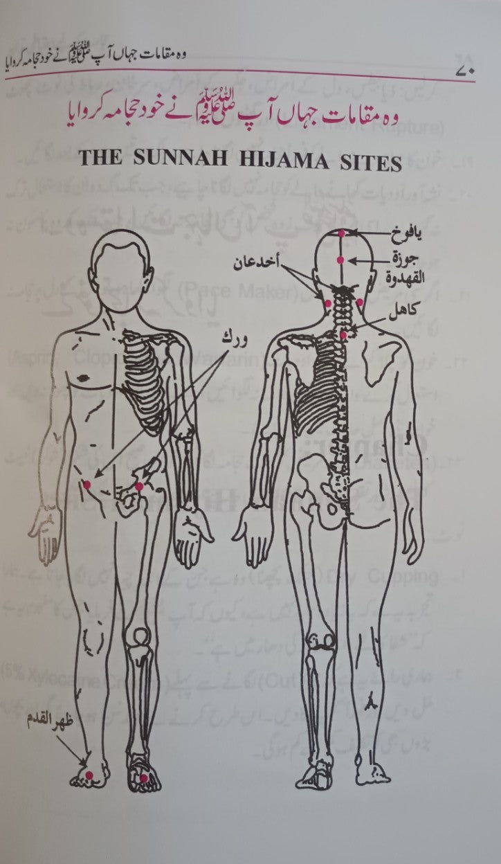 12 Copies of AL HIJAMA (Urdu) الحجامة (الأردي ABAHU12