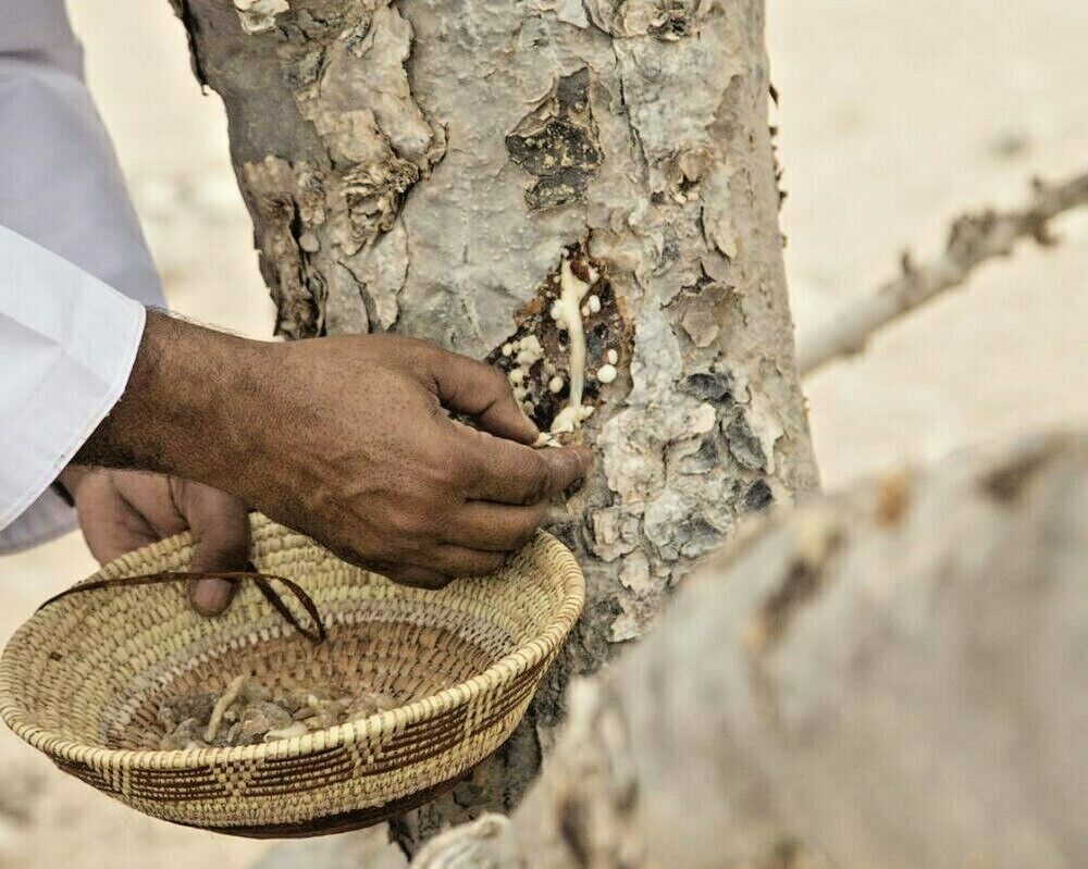 2 Boxes of Bakhoor MYRRH RESIN (Commiphora Myrrha) AMRB