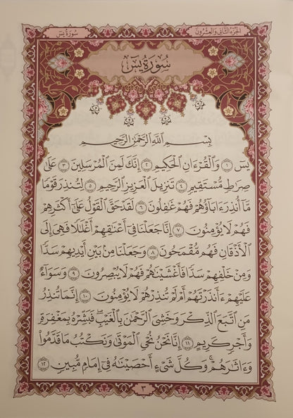 12 Copies of Yaseen in Arabic-Uthmani Script # IZZKU10