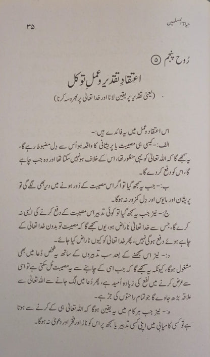 2 Copies of HAYAT-UL-UL-MUSLIMEEN(Urdu) by M. Ashraf A. Thandvi #MMQHUM