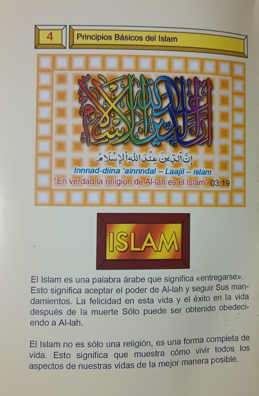 3 Copies of Principios Basicos Del ISLAM (Spanish) الأسبانية #ASPBDI