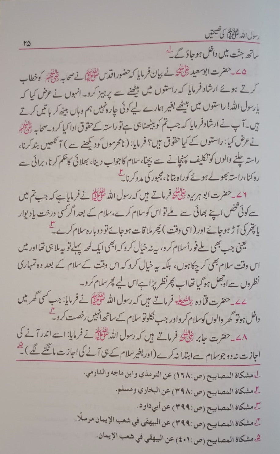 5 Copies of Rasoolullah (S.A.W.) Ki Nasihatein (Urdu) by Maulana Mufti Mohammed Ashiq Elahi #ABRKN