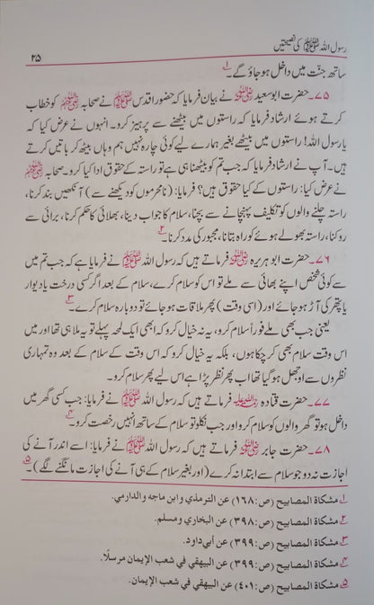 5 Copies of Rasoolullah (S.A.W.) Ki Nasihatein (Urdu) by Maulana Mufti Mohammed Ashiq Elahi #ABRKN