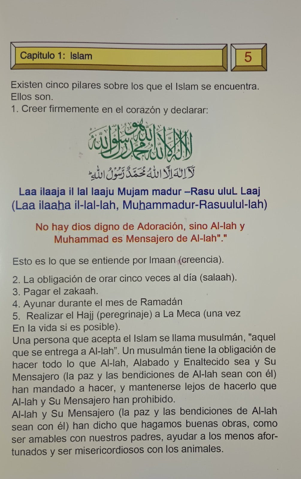 3 Copies of Principios Basicos Del ISLAM (Spanish) الأسبانية #ASPBDI