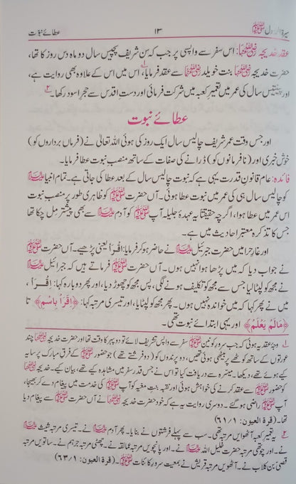 5 Copies of Seerat-ur-Rasool (S.A.W.) (Urdu) by Shah Waliullah Dehlvi #ABSR