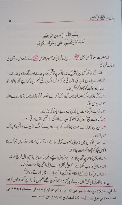 5 Copies of Rasoolullah (S.A.W.) Ki Nasihatein (Urdu) by Maulana Mufti Mohammed Ashiq Elahi #ABRKN