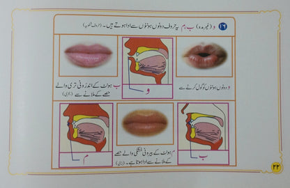 5 Copies of Qawaid -e-Tajweed (Urdu) قواعد التجويد by Qari Abdul Rasheed #ABQTD