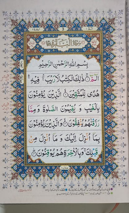 12 Copies of Color Coded Hafizi Quran-Tajweed Rules-Art/Glossy Paper #12ZP415