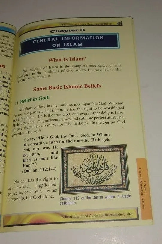 2 Copies of A BRIEF ILLUSTRATED GUIDE TO UNDERSTANDING ISLAM [DSIGUI] BEST GIFT